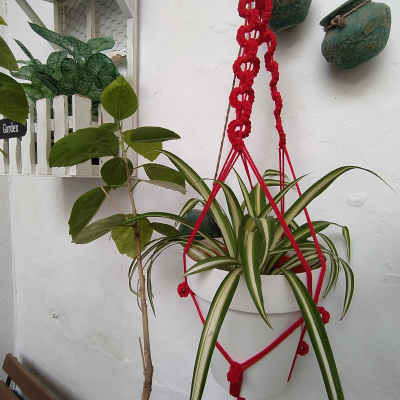 PORTA-MACETAS DE MACRAMÉ